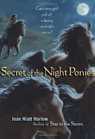 Secret of the Night Ponies