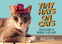 Tiny Hats on Cats: Because Every Cat Deserves to Feel Fancy