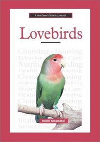 A New Owner's Guide to Lovebirds