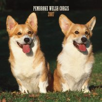 Pembroke Welsh Corgis 2007 Calendar