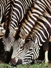 Zebra Journal