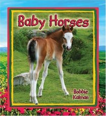 Baby Horses (It's Fun to Learn About Baby Animals)