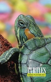 Turtles Weekly Planner 2017: 16 Month Calendar