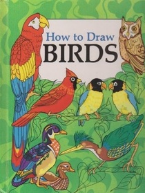 How to Draw Birds