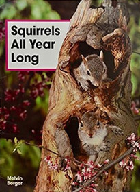 Squirrels All Year Long