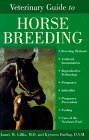 Veterinary Guide to Horse Breeding