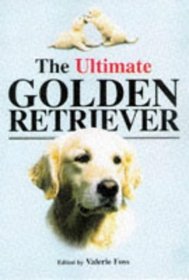 The ultimate golden retriever