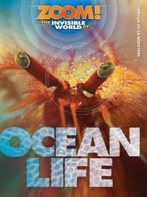 The Invisible World of Ocean Life (Zoom!)