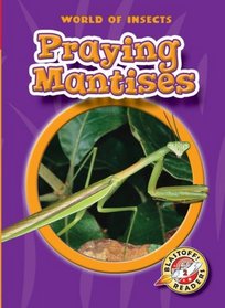 Praying Mantises (Blastoff! Readers) (World of Insects)