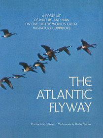 The Atlantic flyway