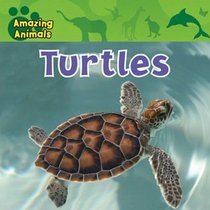 Turtles (Amazing Animals)