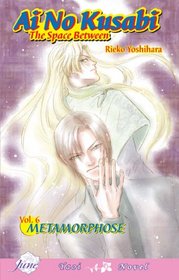 Ai No Kusabi The Space Between (Metamorphose, Vol 6) (Yaoi)