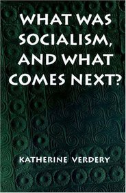 What Was Socialism, and What Comes Next? (Princeton Studies in Culture/Power/History)