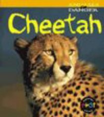 Cheetah (Animals in Danger)