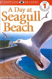 Day at Seagull Beach (DK Eyewitness Readers: Level 1 (Hardcover))