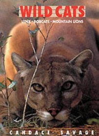 Wild Cats: Lynx, Bobcats, Mountain Lions
