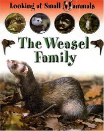 The Weasel Family (Morgan, Sally. Looking at Small Mammals.)