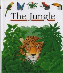 The Jungle (First Discovery Series)