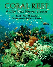 Coral Reef: A City That Never Sleeps