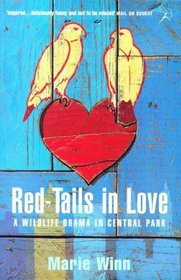 Red-tails in Love: A Wildlife Drama in Central Park
