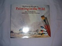A Practical Guide to Painting in the Wild