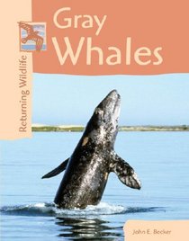 Gray Whales (Returning Wildlife)