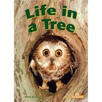 Life in a Tree: Big Book