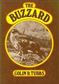 The Buzzard