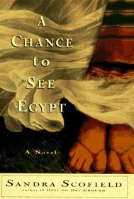 A Chance to See Egypt