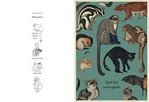 Animalium Activity Book (Welcome to the Museum)