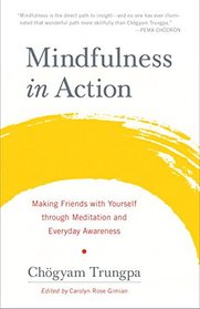 Mindfulness in Action: Making Friends with Yourself through Meditation and Everyday Awareness