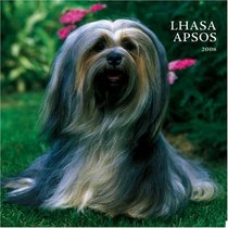 Lhasa Apsos 2008 Square Wall Calendar (German, French, Spanish and English Edition)