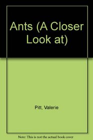 Ants (A Closer Look at)