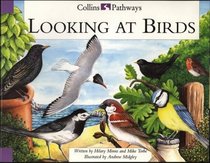 Looking at Birds: Big Book (Collins Pathways)