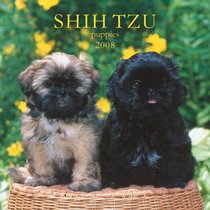 Shih Tzu Puppies 2008 Mini Wall Calendar (German, French, Spanish and English Edition)