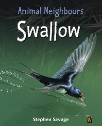Animal Neighbours: Swallow
