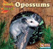 Opossums (Animals That Live in the Forest)