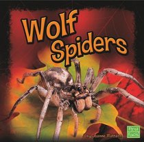 Wolf Spiders (First Facts: Spiders)