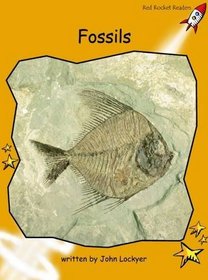 Fossils: Level 4: Fluency (Red Rocket Readers: Non-fiction Set A)