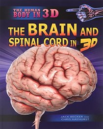 The Brain and Spinal Cord in 3d (The Human Body in 3d)