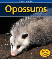 Opossums (2nd Edition) (Heinemann Read and Learn)