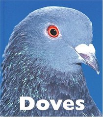 Doves (Naturebooks)