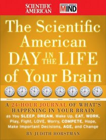 The Scientific American Day in the Life of Your Brain