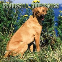 Rhodesian Ridgebacks 2005 Wall Calendar