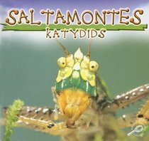 Saltamontes: Katydids (Biblioteca Del Descubrimiento De Los Insectos/Insects Discovery Library) (Spanish Edition)