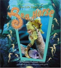 The Life Cycle of a Sea Horse (The Life Cycle, 14)
