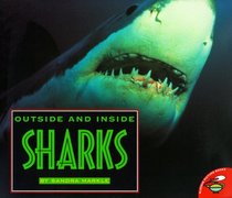 Outside And Inside Sharks (Outside Inside)