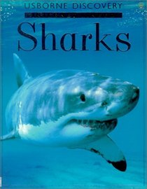 Sharks (Discovery Program)