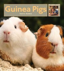 Guinea Pigs (My First Look at Pets)