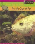 The Life Cycle of Fish (From Egg to Adult)